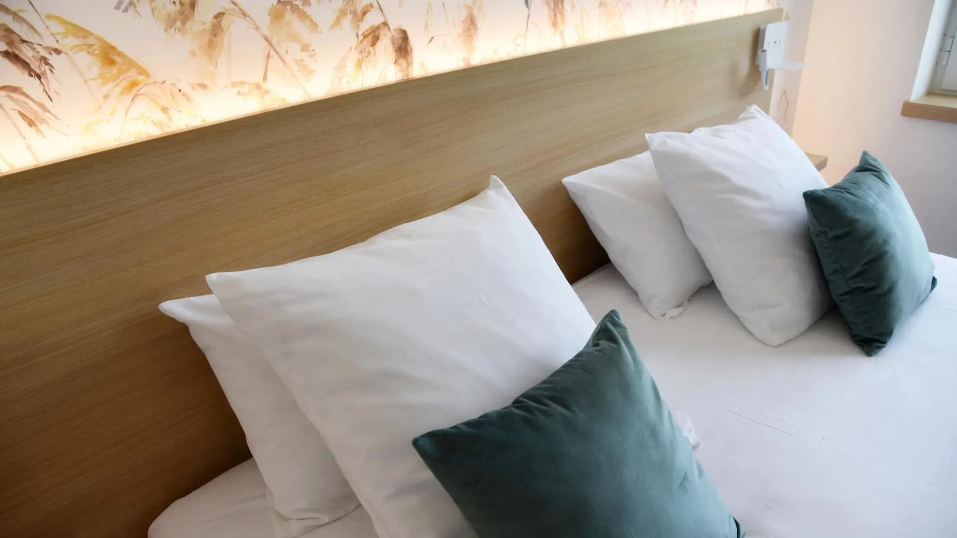 Shana Hotel & Residence Chanaz 3*,  France